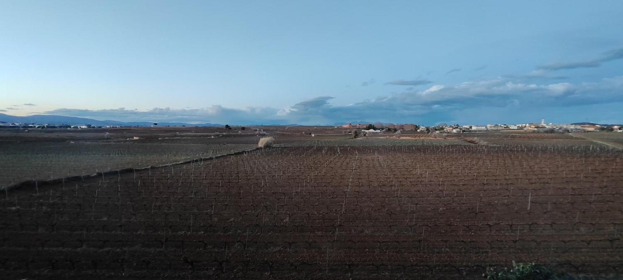 Вилла Cal Llop Sant Cugat de Sesgarrigues Экстерьер фото