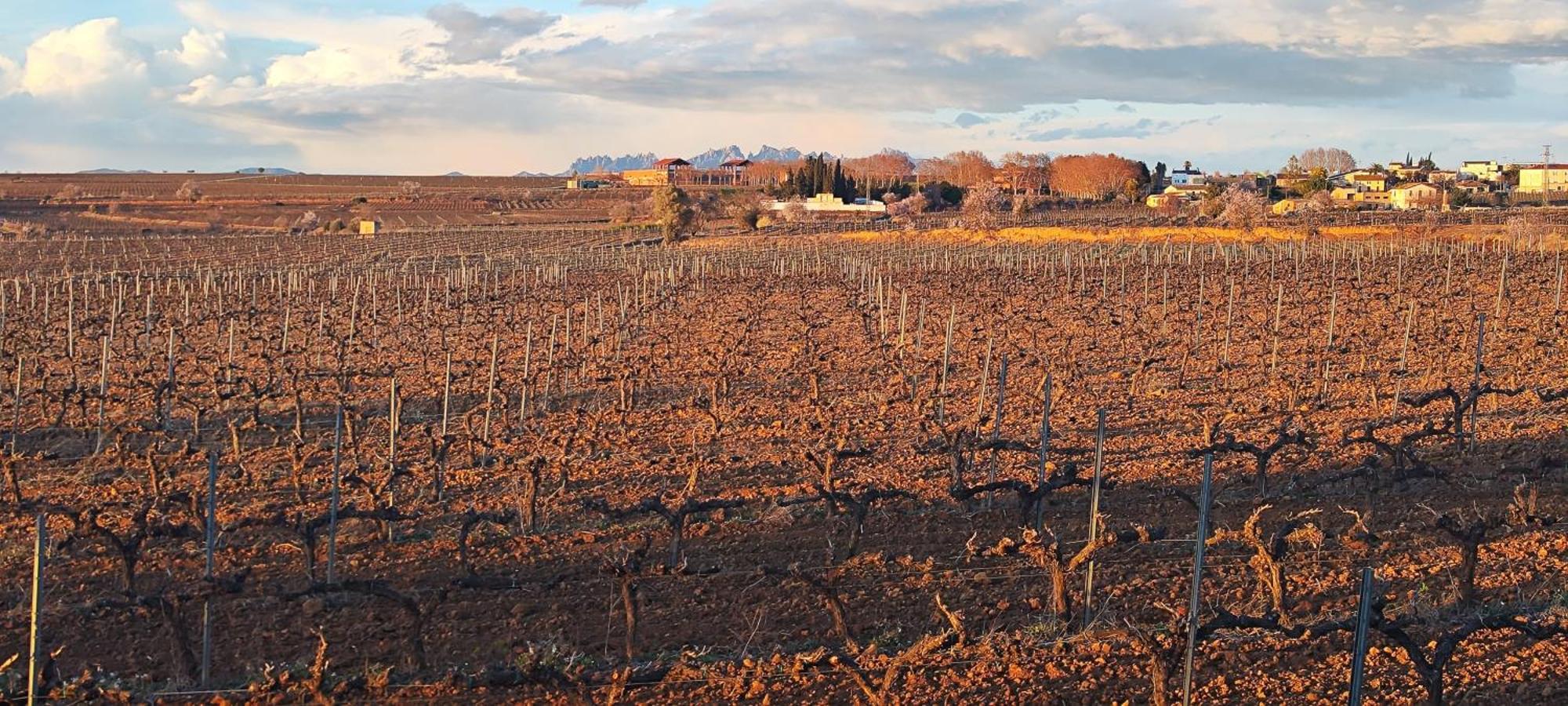 Вилла Cal Llop Sant Cugat de Sesgarrigues Экстерьер фото