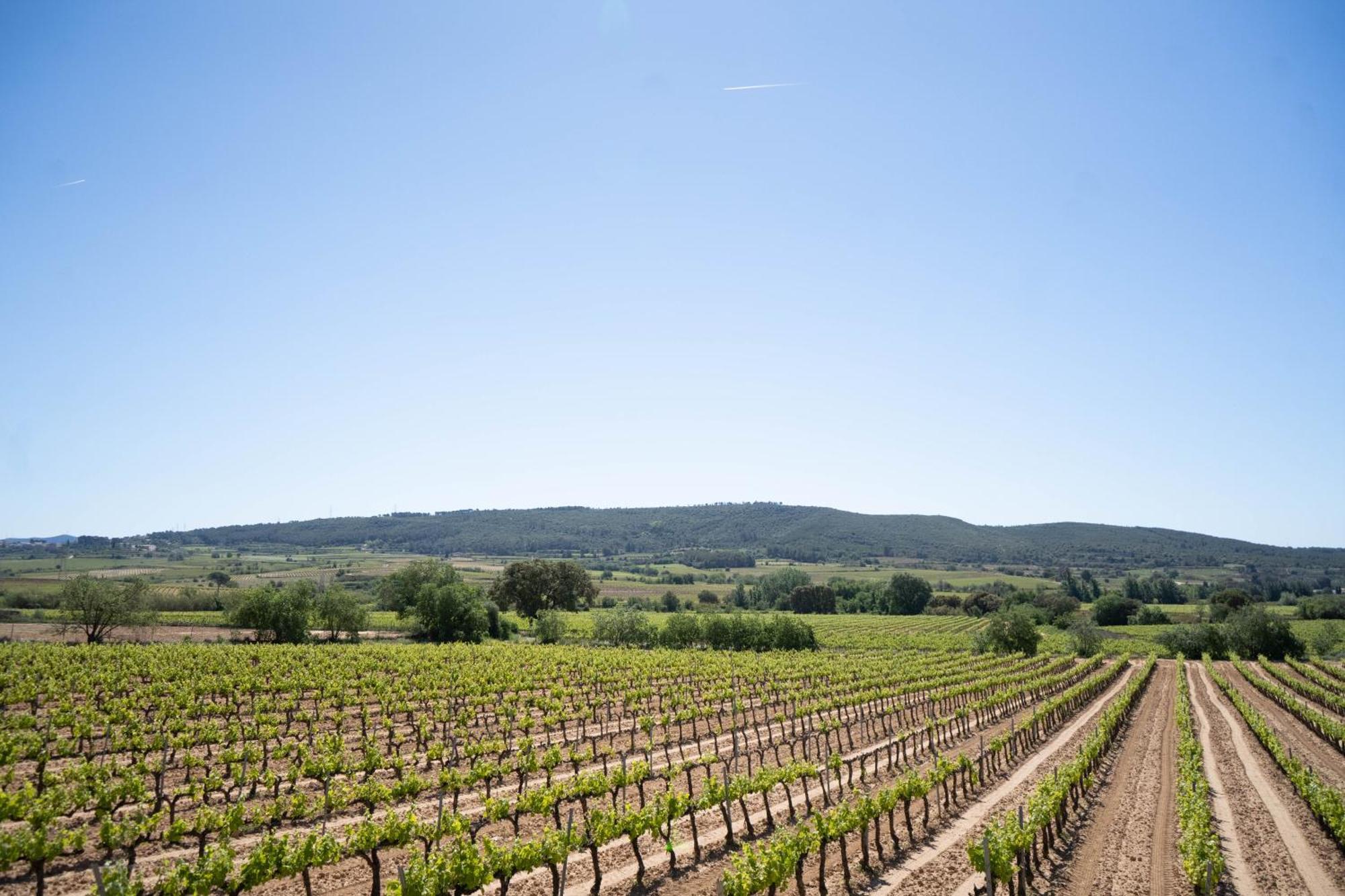 Вилла Cal Llop Sant Cugat de Sesgarrigues Экстерьер фото